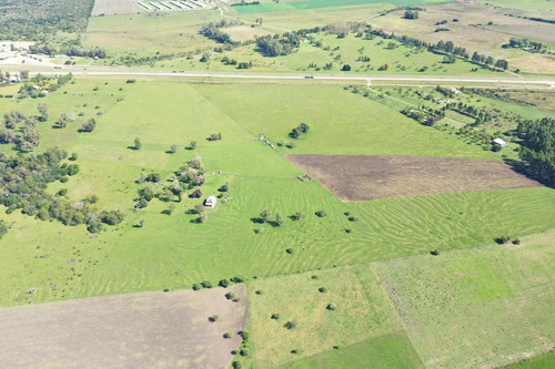 Imagen 5 de 30 de Campo Sobre Autopista Ruta 14 Colón Entre Ríos