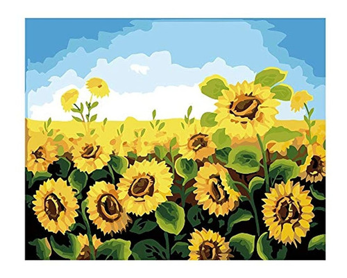 Varios Colores De La Serie De Girasoles De Pintura Por Númer