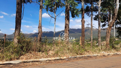 Imagem 26 de 30 de Sitio À Venda Em Igarapé Bairro Batatal - Si0094