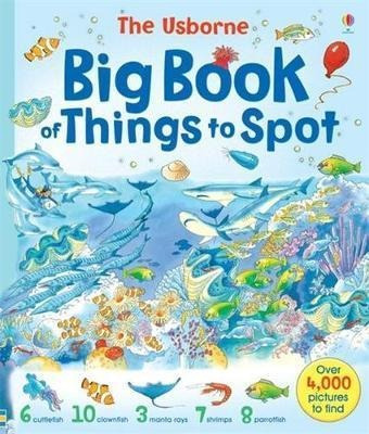 Big Book Of Things To Spot - Fiona Watt
