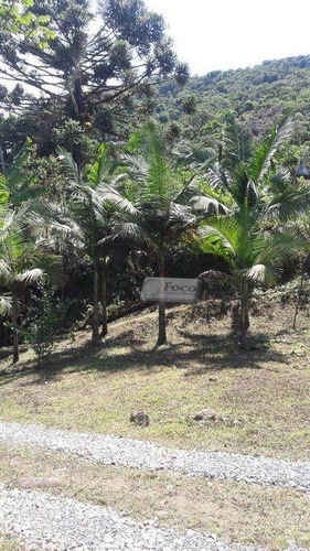 Imagem 23 de 30 de Sítio Com 3 Dormitórios À Venda, 302000 M² Por R$ 1.200.000,00 - Centro - Tapiraí/sp - Si0004
