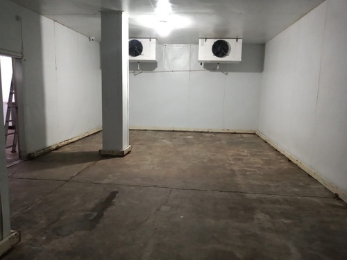 Rento Bodega Con Camara De Refrigeracion Para 90 Toneladas Con 2 Departamentos