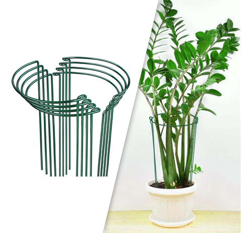 8pcs Apoyo Para La Planta Apotos Garden De Jardín 20cmx35cm