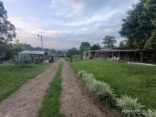 Vendo Finca En Otramina En Titiribí Suroeste Antioqueño De 2 Cuadras Topografía Plana