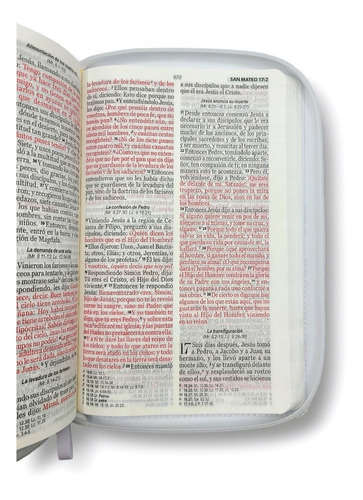 Imagen 5 de 10 de Biblia Reina Valera 1960 Letra Grande Manual Cierre Arcoiris