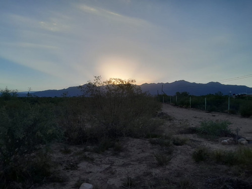 Greenwood Vende Lote Ubicado En Lujan De Cuyo