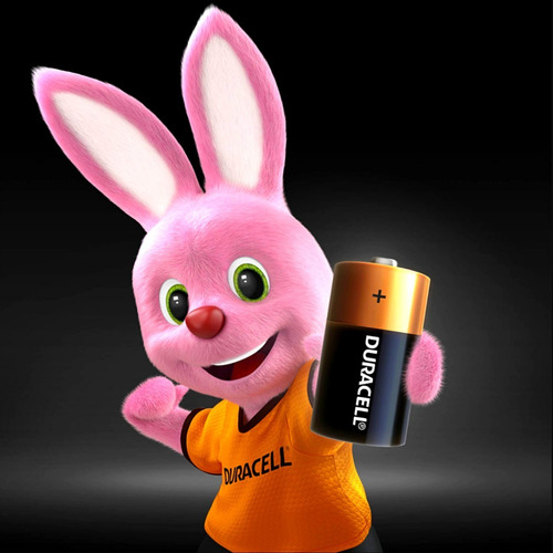 C Tamaño C Duracell Alcalina 1.5v No Recargable 96 Piezas