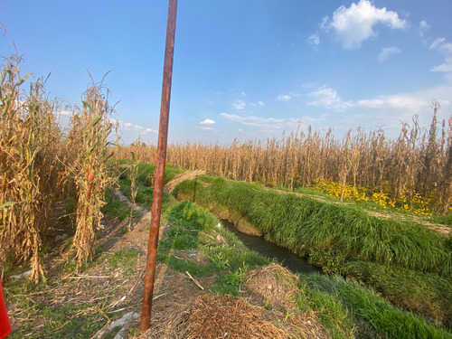 Terreno En Venta En Colonia San Nicolás Tolentino, Toluca, Estado De México