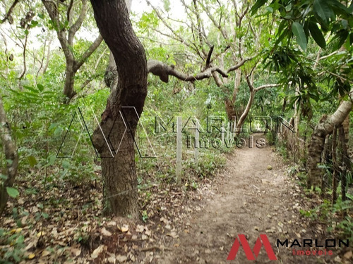 Imagem 7 de 8 de Vtp02275 Terreno Nisia Floresta, Com 39.346m2