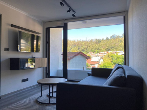 Departamento En Arriendo De 1 Dorm. En Concepción