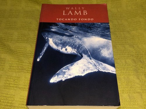 Tocando Fondo - Wally Lamb - B (Usado)