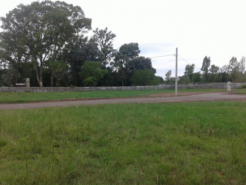 Lote En Bº Semicerrado El Álamo, La Bota