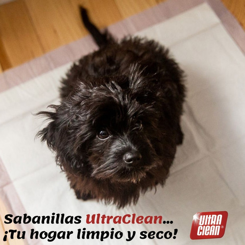 Imagen 5 de 7 de Sabanillas Pañales Mascotas Perro 100 Unidades 60x60 Lavanda