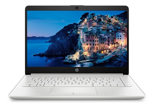 Notebook Hp 14-cf2074la Intel Core I5 10210u 8gb 256gb Win10 Color Plateado