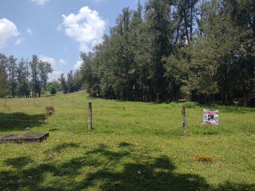 Terreno Campestre A La Venta En Frac. Manantial , Xalapa, Veracruz