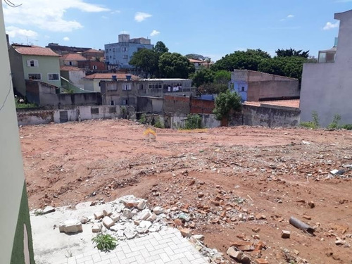 Imagem 1 de 8 de Terreno Para Venda No Bairro Vila Marieta, - 3297