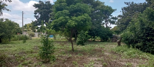 Vendo Lote De 720 Mt2, Altura Km. 15 Doble Vía A La Guardia, (en Santa Cruz)