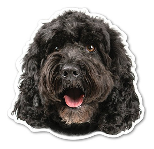 Imán En Forma De Cockapoo (negro) De Magnet America Mide 4 9