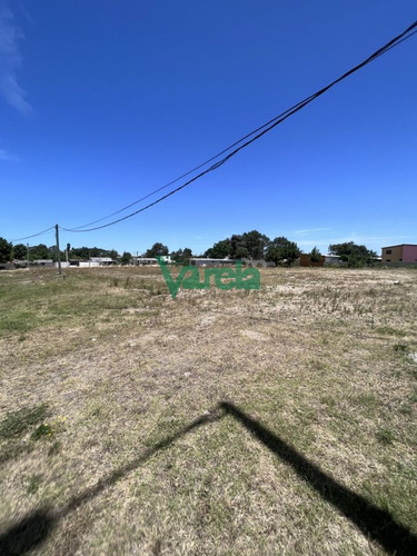 Imagen 8 de 13 de Terrenos En Venta El Pinar Vista Sobre Interbalnearia. (financia)