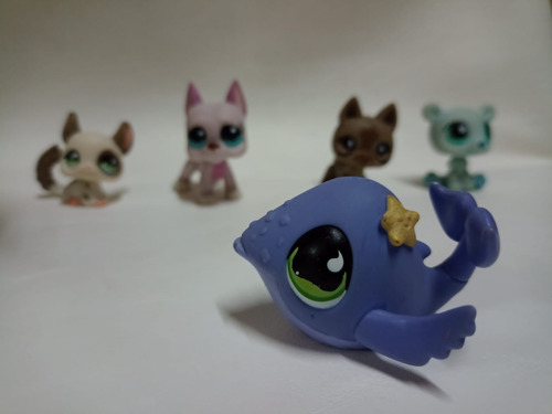 Littlest Pet Shop - Ballena 644