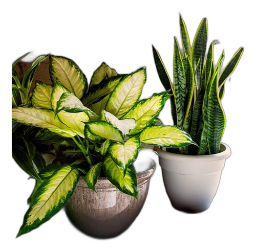 Plantador Redondo De Pizzazz - The Hc Companies | Jardineras