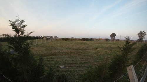 Imagen 5 de 6 de Terreno En Venta En Carlos Spegazzini