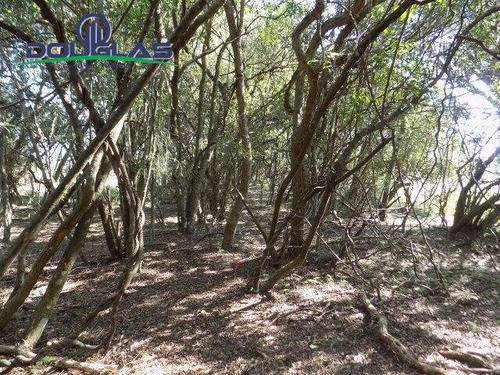 Imagem 4 de 15 de 2 Ha ,800 Mts Do Asfalto. - 845