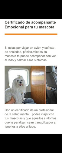 Imagen 1 de 3 de Viaja Con Tu Mascota
