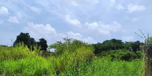 Terreno En Venta Juanico