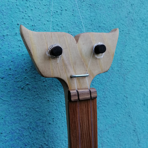 Rabelito Huasteco Electroacústico Con Estuche Marrón Claro