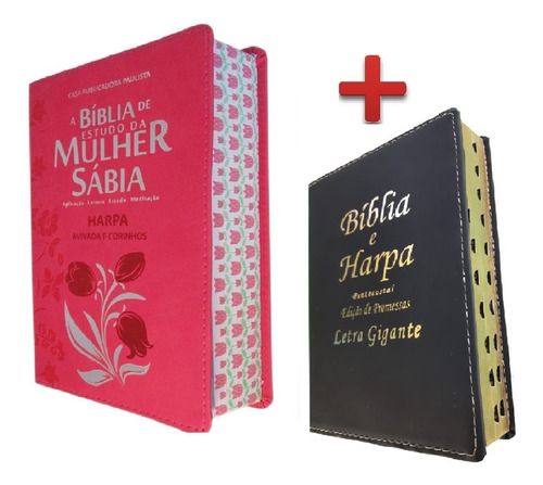Imagem 1 de 8 de Bíblia De Estudo Da Mulher Sábia + Bíblia Letra Gigante