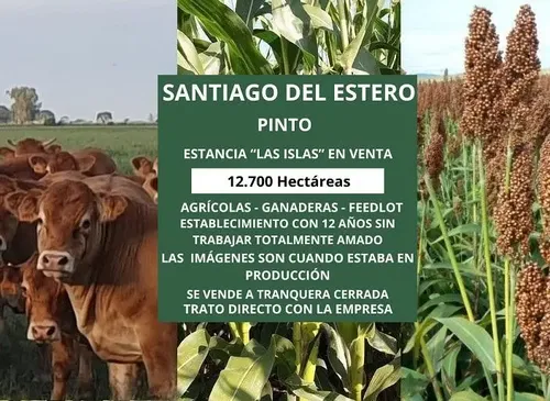 Campo En Santiago Del Estero, Localidad De Pinto. 12.700 Ha. Mixtas A Tranquera Cerrada!!!! - foto 1