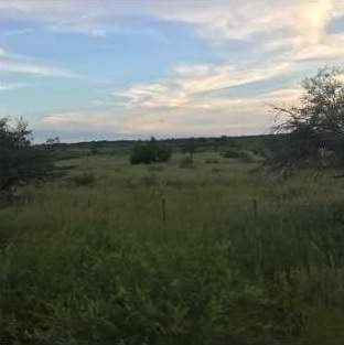 Imagen 5 de 18 de Venta Campo Mixto En Santiago Del Estero