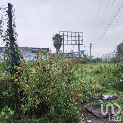 Venta Terreno 0 Ambiente Chalco De Díaz Covarrubias Centro