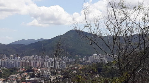 Imagem 2 de 9 de Terreno Em Córrego Grande, Florianópolis/sc De 507m² À Venda Por R$ 370.000,00 - Te412346-s