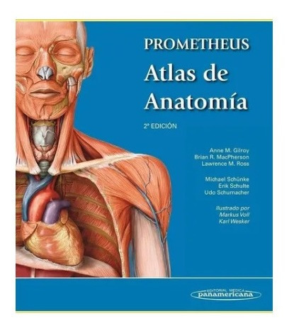 Prometheus Atlas De Anatomía - Anne Gilroy - Panamericana