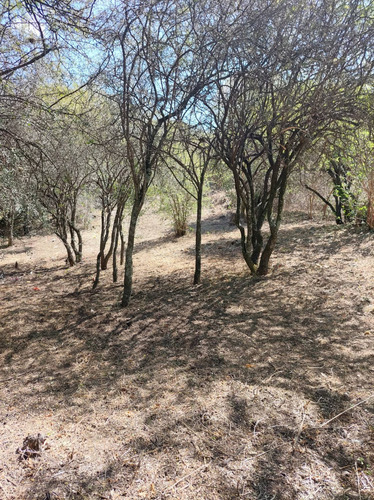 Vendo Hermoso Lote De 840m2 En Villa Ani Mi !