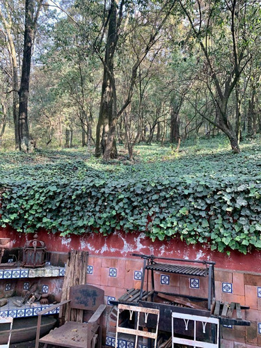 Terreno En Calzada Desierto De Los Leones
