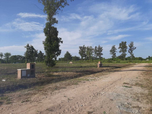 Imagen 6 de 12 de Lote De 1135 M2 - Barrio La Cañada