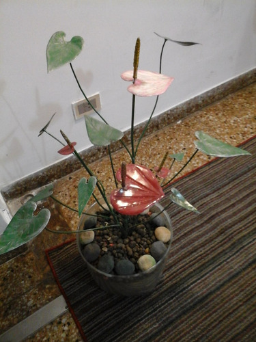 Anthurium En Hierro Forjado Y Pintado