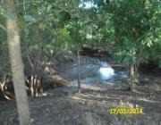 Imagen 2 de 19 de Quinta - San Antonio De Areco
