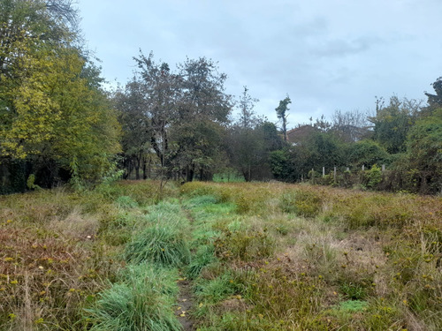 Preparate Para Una Nueva Inversion En Osorno