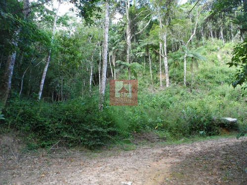 Imagem 4 de 7 de Terreno À Venda, 3462 M² Por R$ 290.000,00 - Cascata Dos Amores - Teresópolis/rj - Te0095