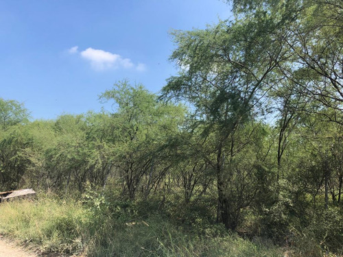 Terreno En Venta Usos Mixtos Juárez Nl