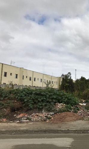 Imagem 8 de 17 de Terreno Residencial À Venda, Cidade Boa Vista, Suzano. - Reo326389