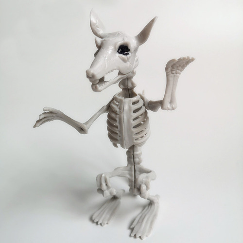 F Animal Skeleton Bones Para La Simulación De Terror De Hall