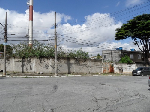 Imagem 1 de 6 de Terreno A Venda No Parque Cruzeiro São Miguel Paulista - 490
