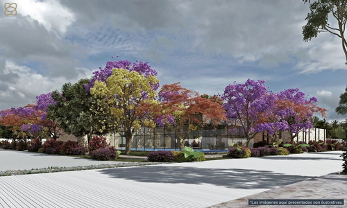 Imagen 4 de 26 de Terrenos Residencial En Privada Zentura, Cholul, Mérida
