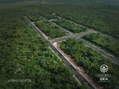 Terreno En Venta Privada Amaranta, Conkal, Mérida