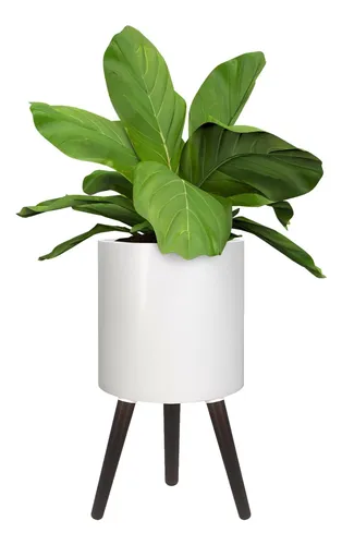 Maceta De 10 Pulgadas Con Patas, Planta Moderna, Con Drenaje